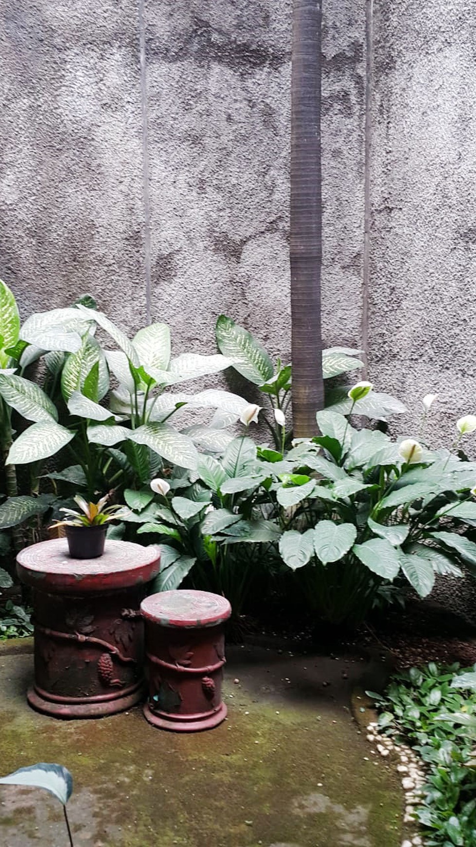 Rumah Bagus Di Kebayoran Lama, Jakarta Selatan