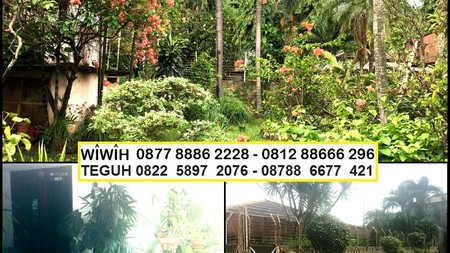 Rumah Tua hitung tanah 914m harga 19.5Jt/m nego sampai deal