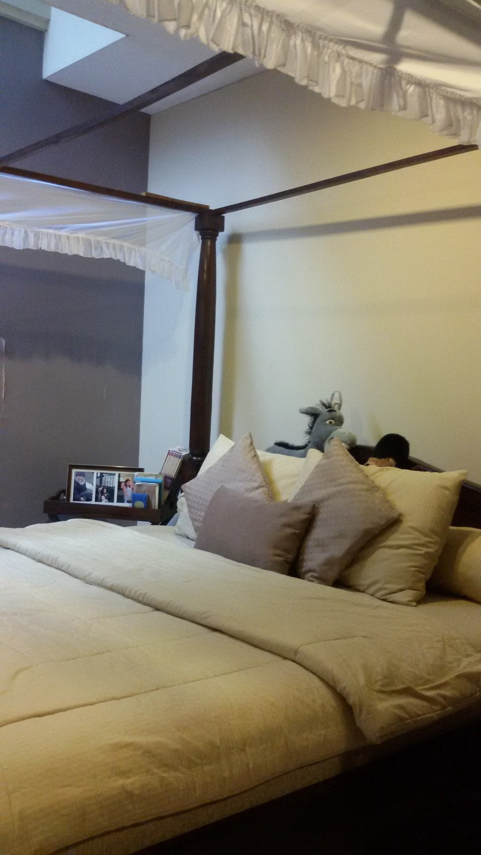 Rumah Cantik,Bagus sekali di Bintaro Jaya 9