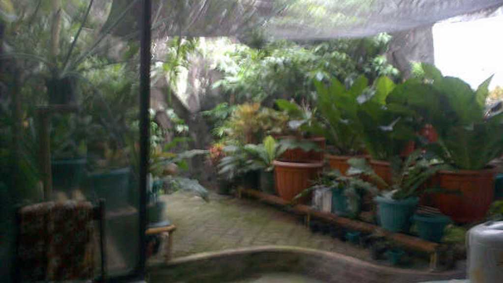 Rumah asri di sektor 1 Bintaro Jaya, DKI