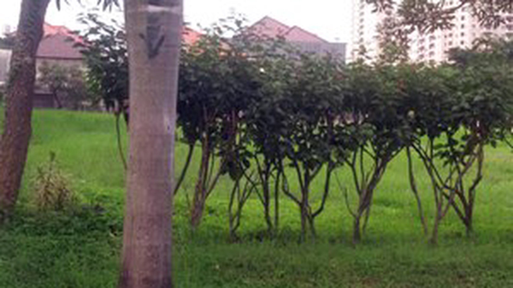 Tanah di Pakuwon Imperial Golf, Lokasi Bagus, Hadap Selatan, Lingkungan Elite. - PP -