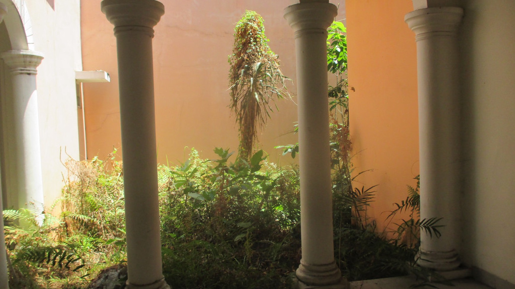 Disewakan Rumah di Cluster Alicante - Gading Serpong