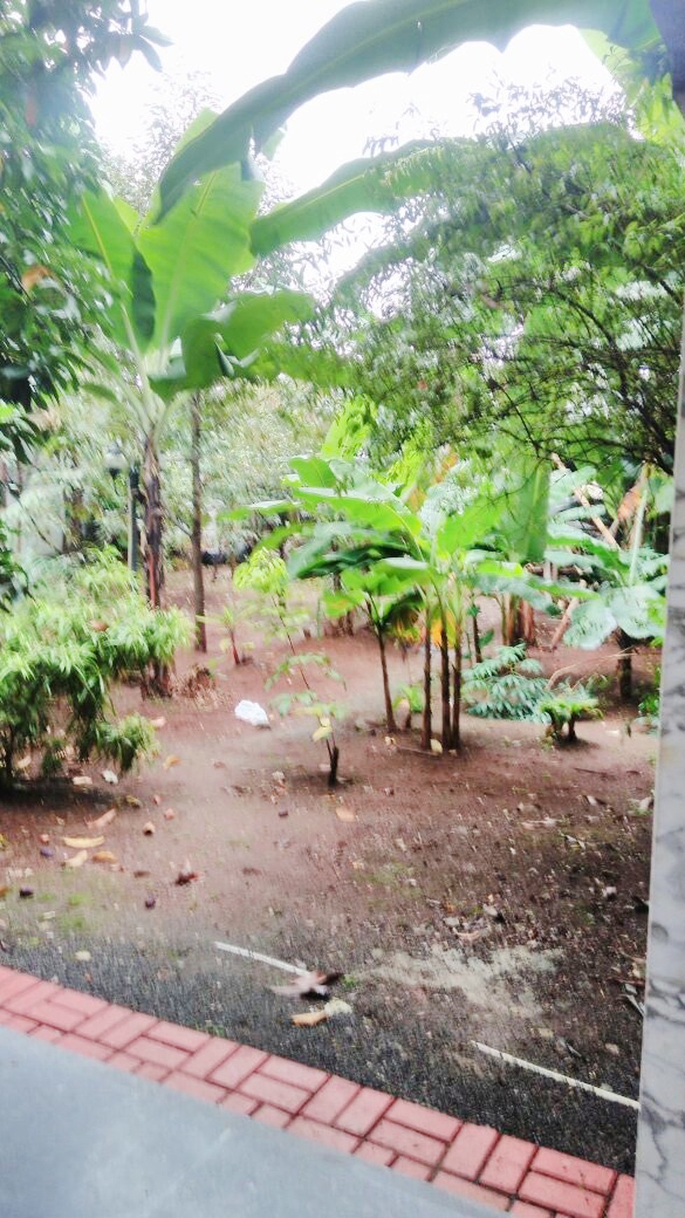 Rumah Bagus Di Puter Raya, Bintaro Jaya