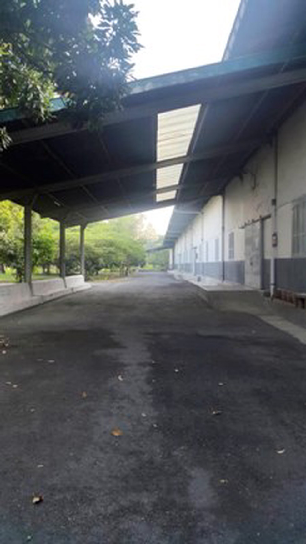 Ex. Gudang Tembakau, ada Kantor nya, 3 K.Tidur + 2K.Mandi, Lokasi Strategis, Nol Jalan Raya Propinsi - YA -