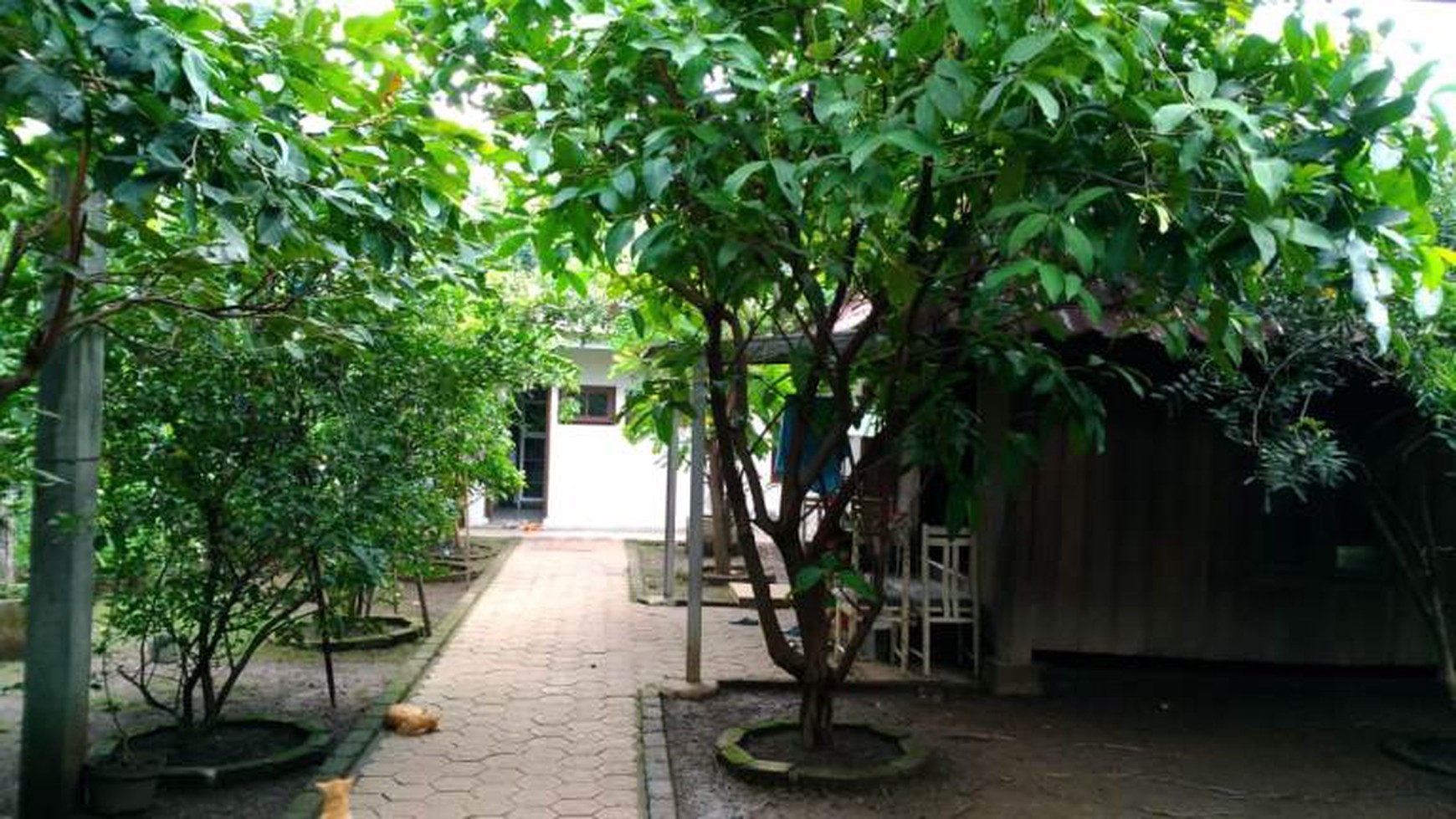 Dijual Rumah Jl.Gadung Sidoarjo