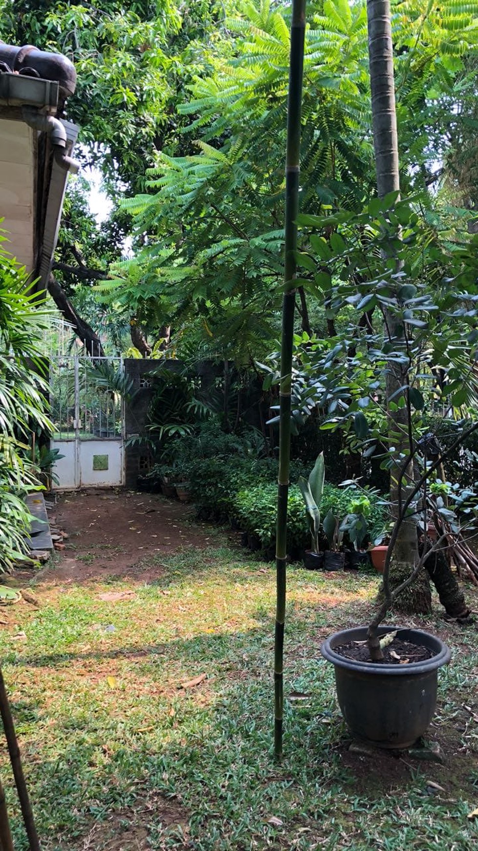 Rumah Mewah,Bagus,siap huni di Kuningan Timur Setiabudi