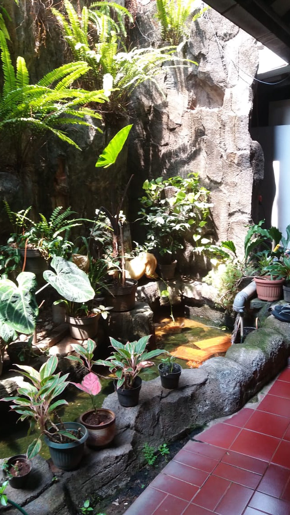 Di Jual Hunian Klasik, Nyaman dan Siap Huni di Kawasan Duren Tiga, Jakarta Selatan