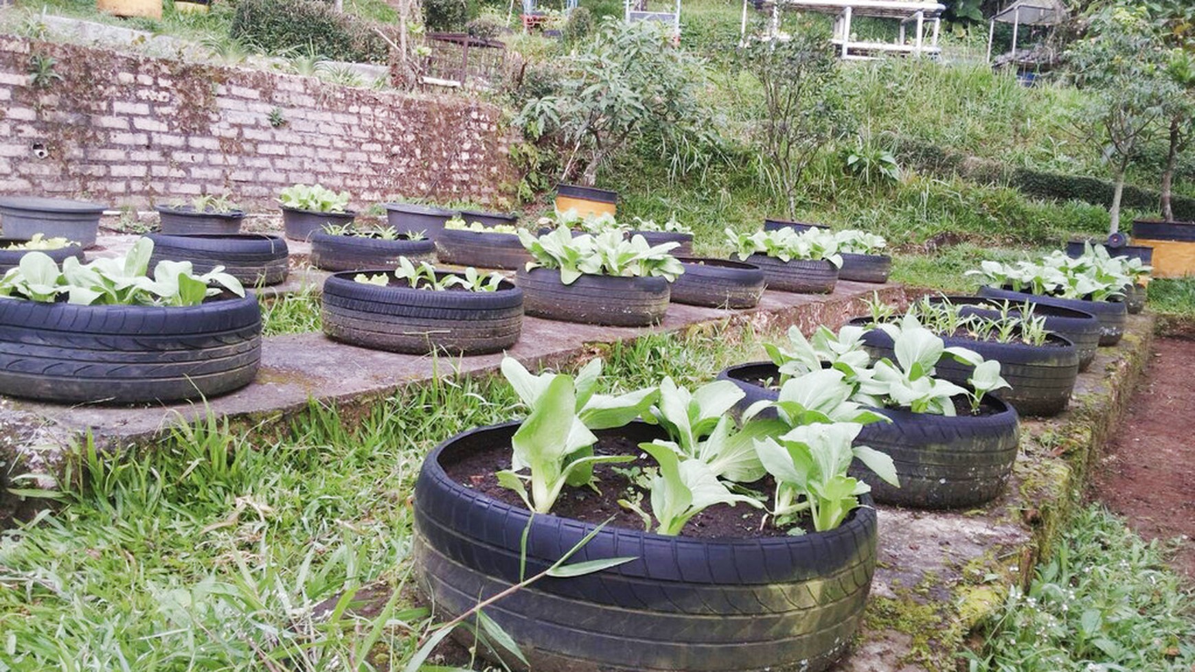 Di Jual Villa dan Kebun di kawasan Bogor, Jawa Barat