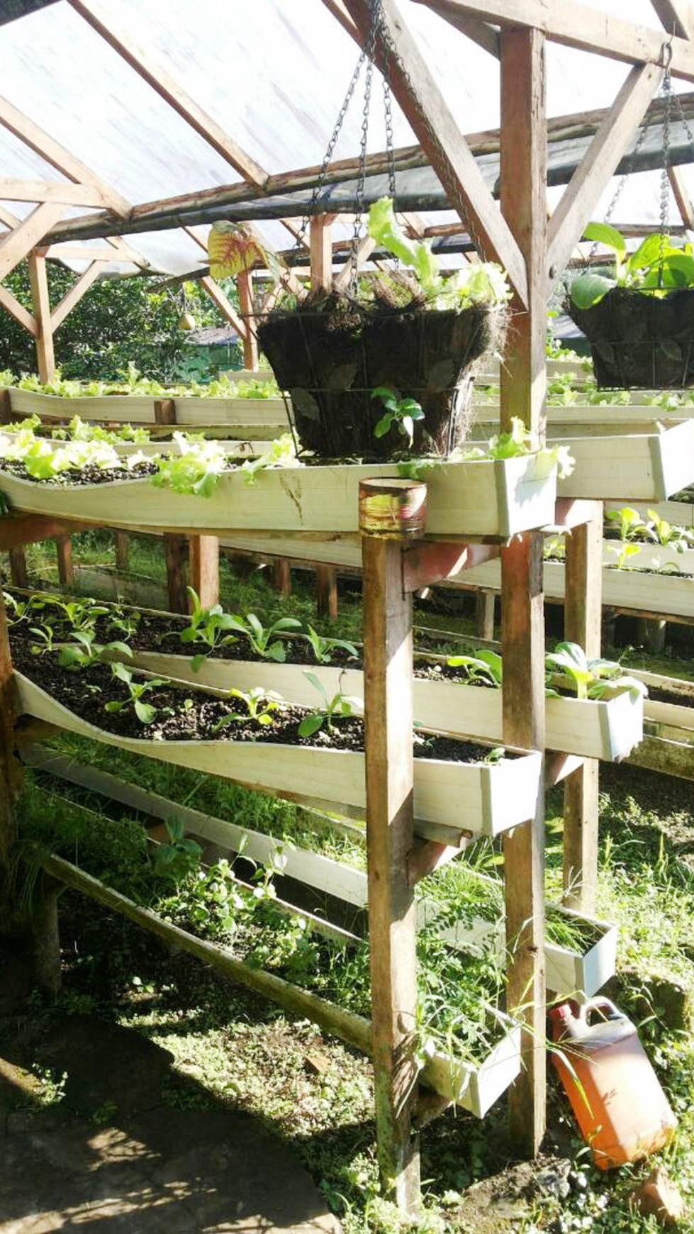 Di Jual Villa dan Kebun di kawasan Bogor, Jawa Barat