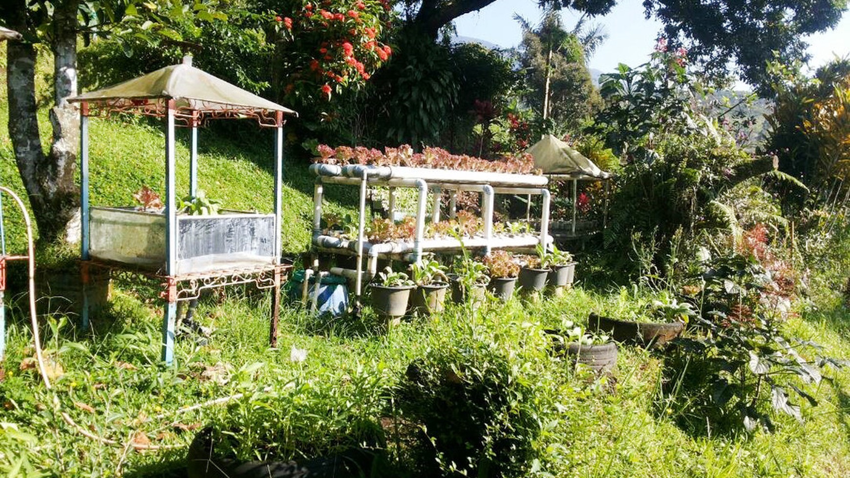 Di Jual Villa dan Kebun di kawasan Bogor, Jawa Barat