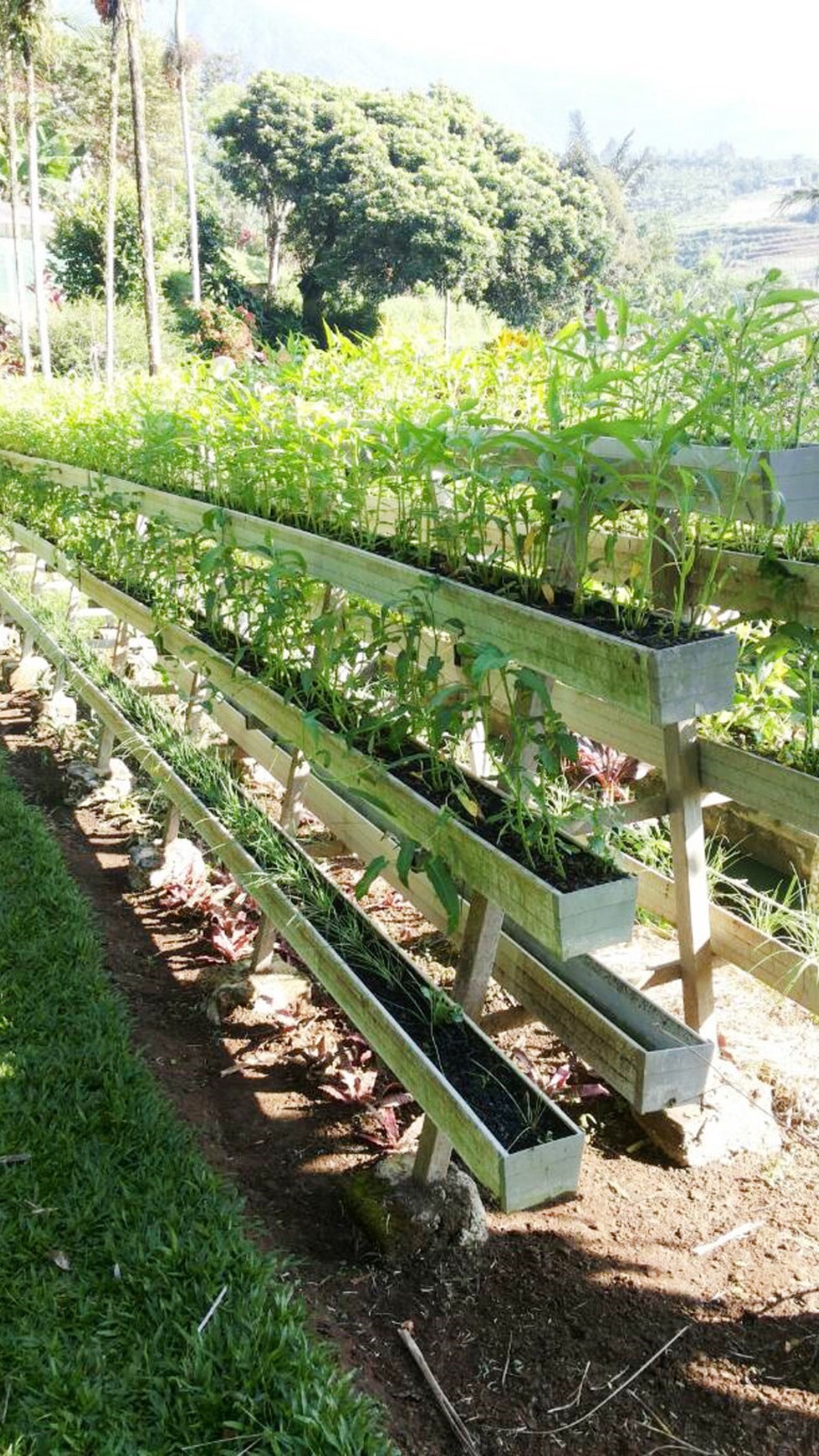 Di Jual Villa dan Kebun di kawasan Bogor, Jawa Barat