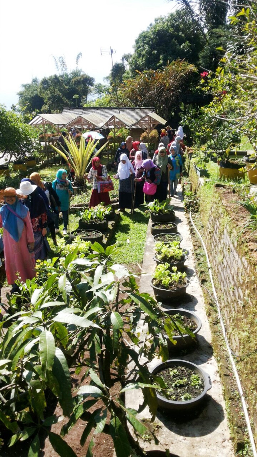 Di Jual Villa dan Kebun di kawasan Bogor, Jawa Barat