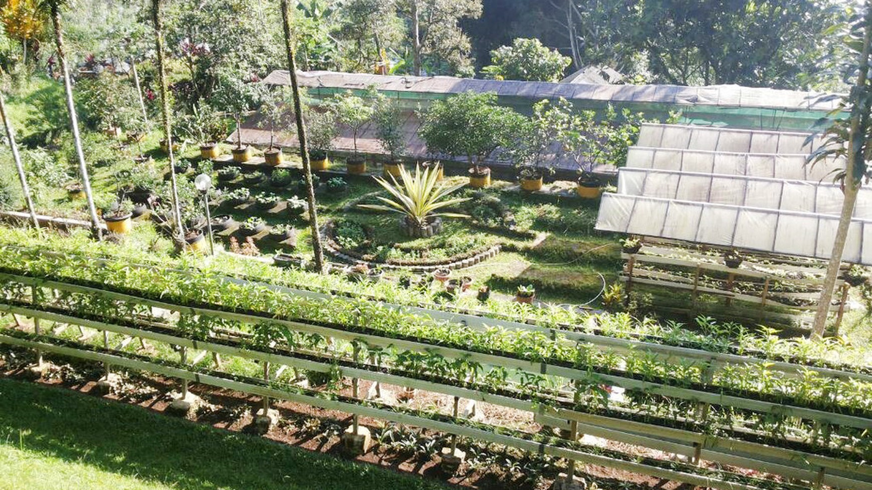 Di Jual Villa dan Kebun di kawasan Bogor, Jawa Barat