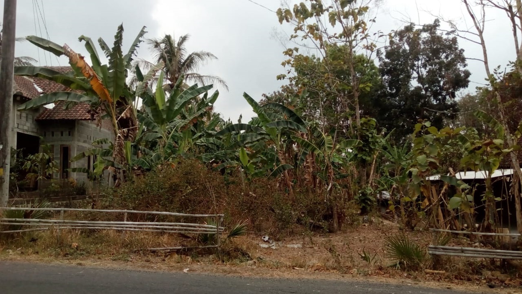 TANAH LUAS COCOK UNTUK TEMPAT TINGGAL, DLL DI DAERAH BANGUNJIWO