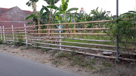 TANAH DI TENGAH KOTA JOGJA, MUJA MUJU, UMBULHARJO