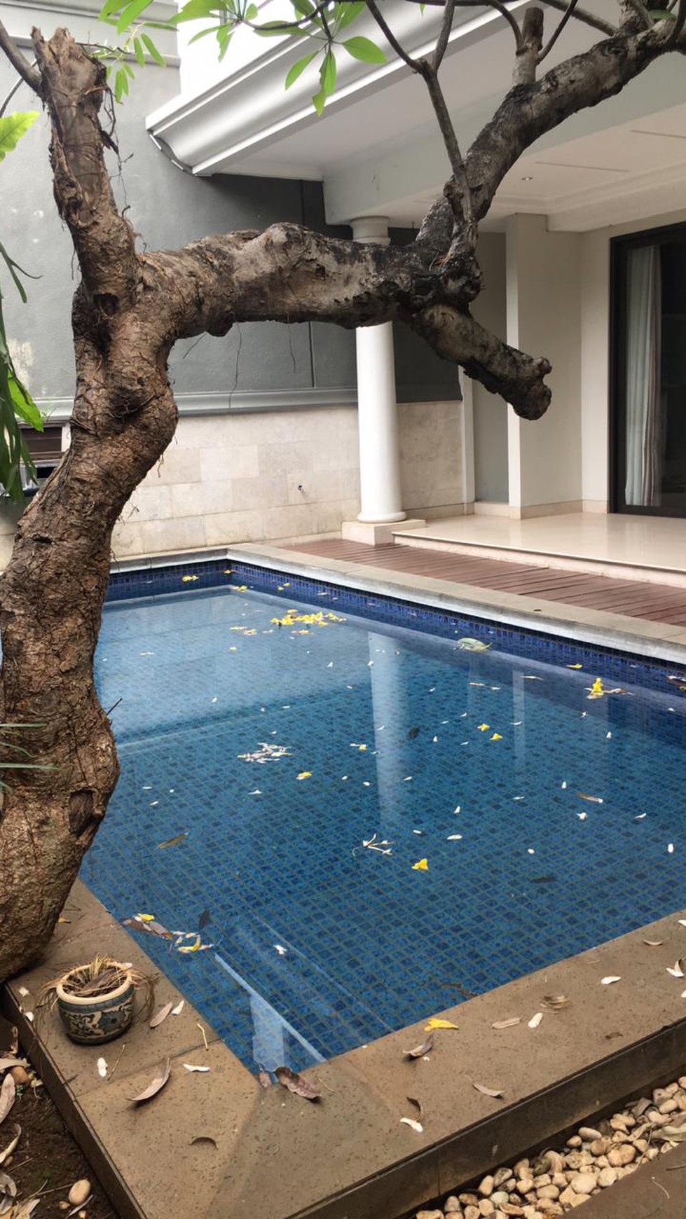 Rumah Mewah Dekat Senayan City Kebayoran Baru