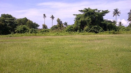 Tanah driyorejo bisa untuk apapun
