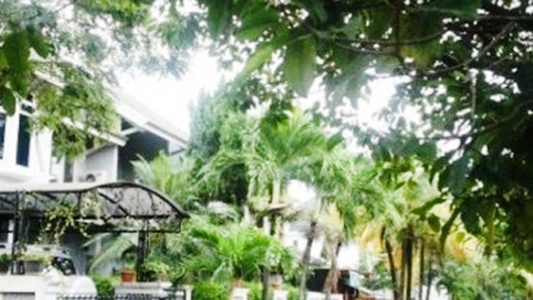 Rumah Bagus Di Kuricang, Bintaro Jaya