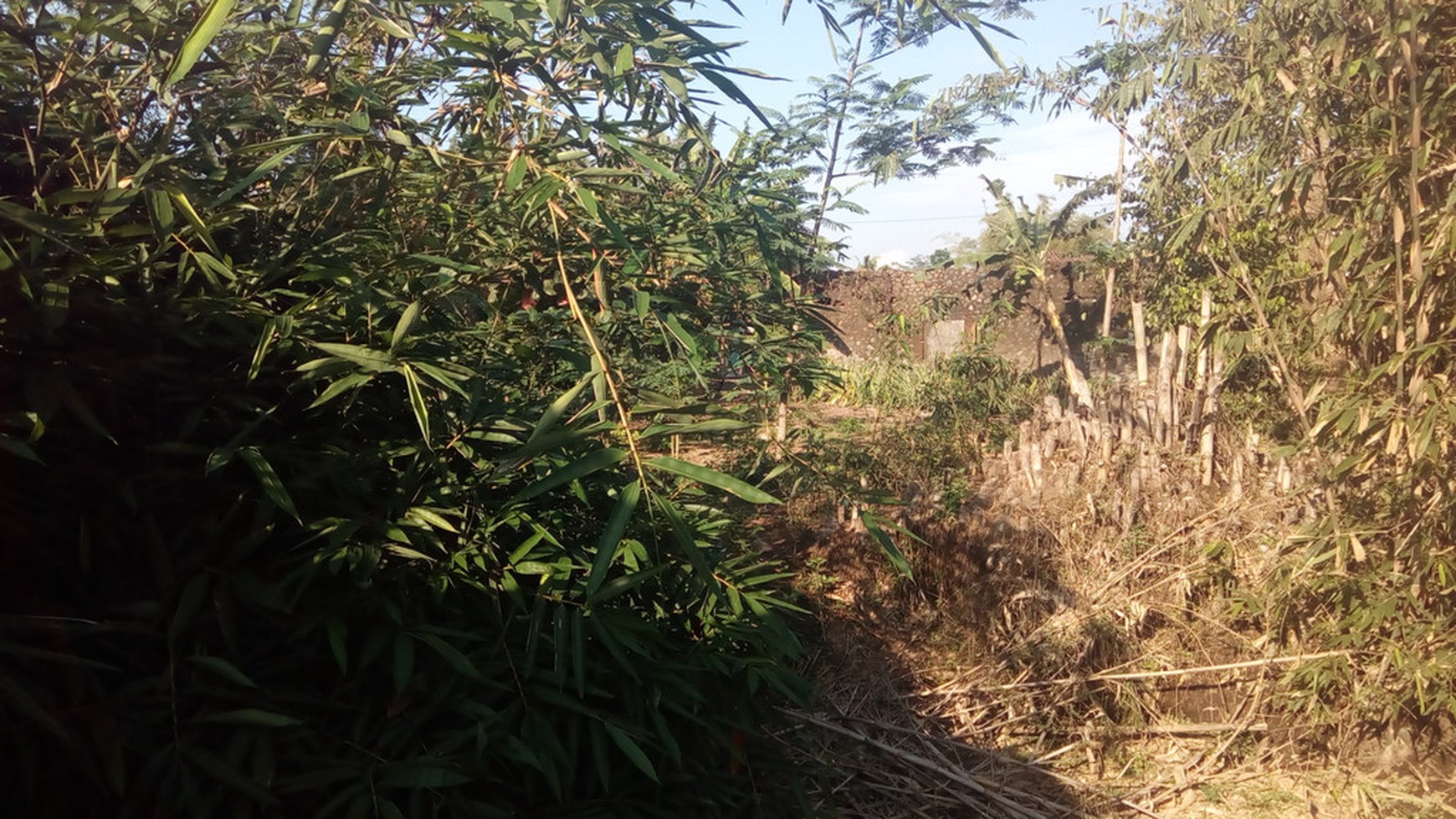 TANAH LUAS DAN SETRATEGIS, BERADA DI JL MAGELANG KM 15,4
