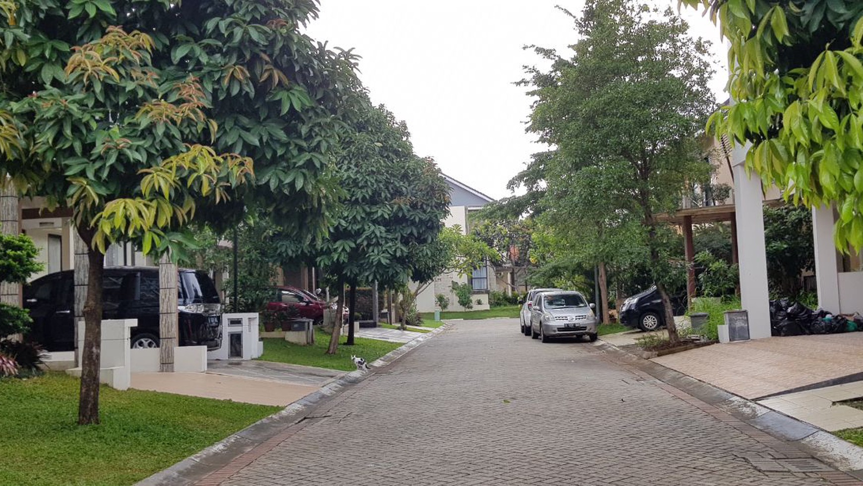 Rumah Bagus Di Discovery Terra, Bintaro, Tangsel