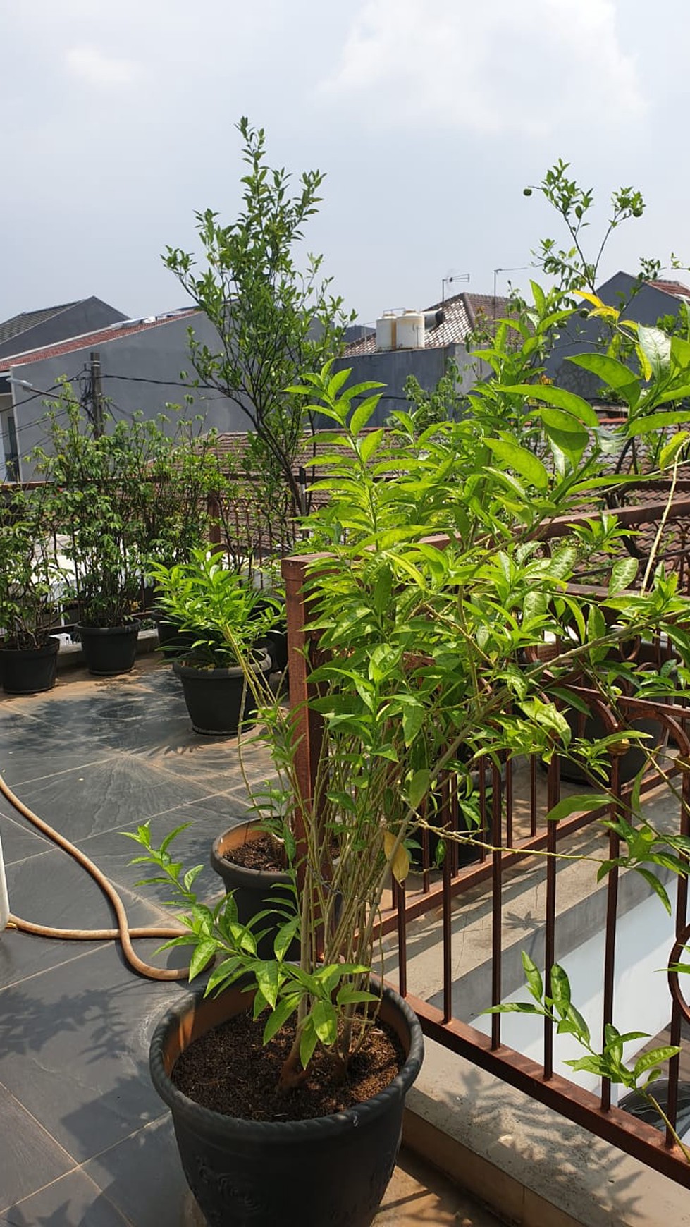 Rumah Dijual