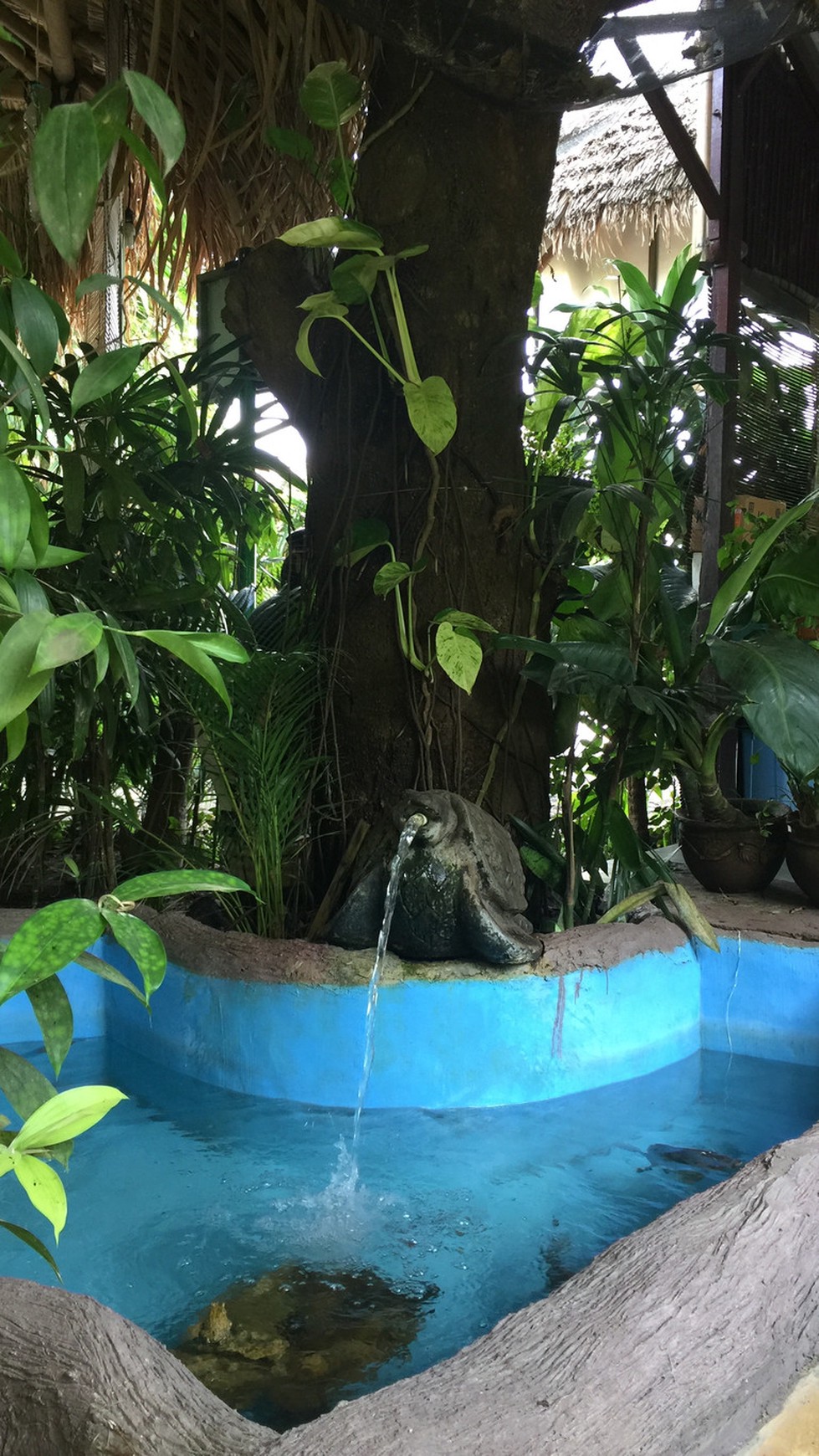 GUEST HOUSE BERGAYA ETNIK DITENGAH KOTA YOGYAKARTA, NGADINEGARAN