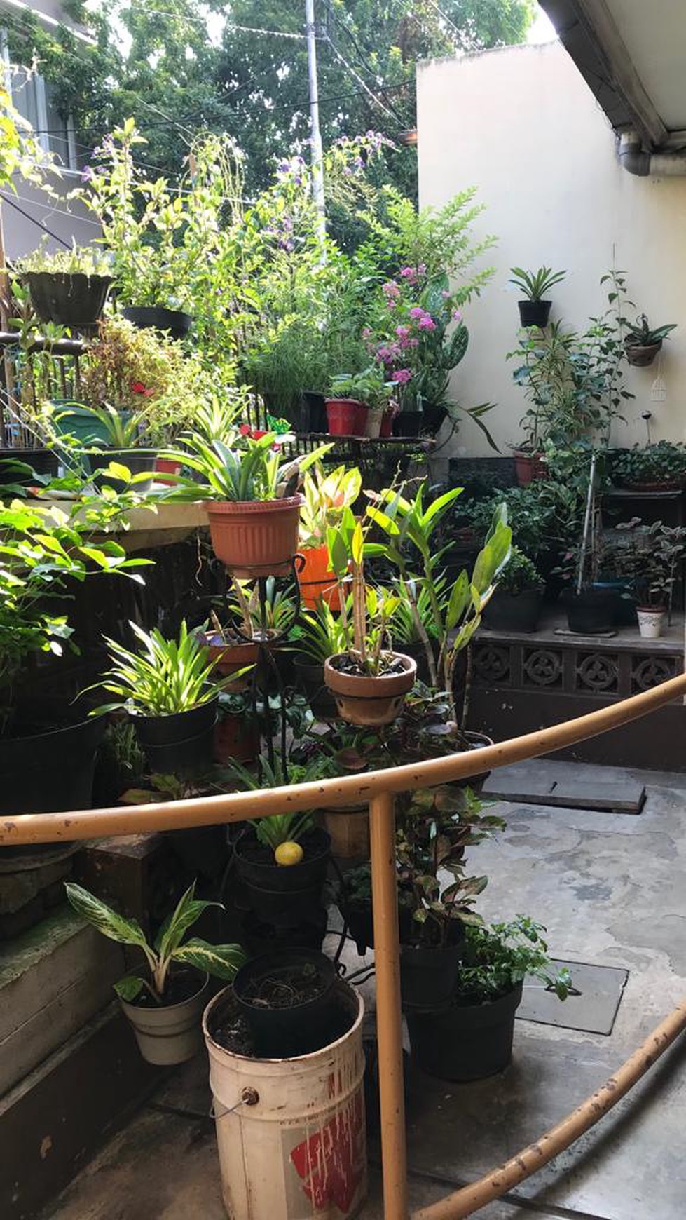Rumah Bagus,siap huni di Cipinang Jatinegara