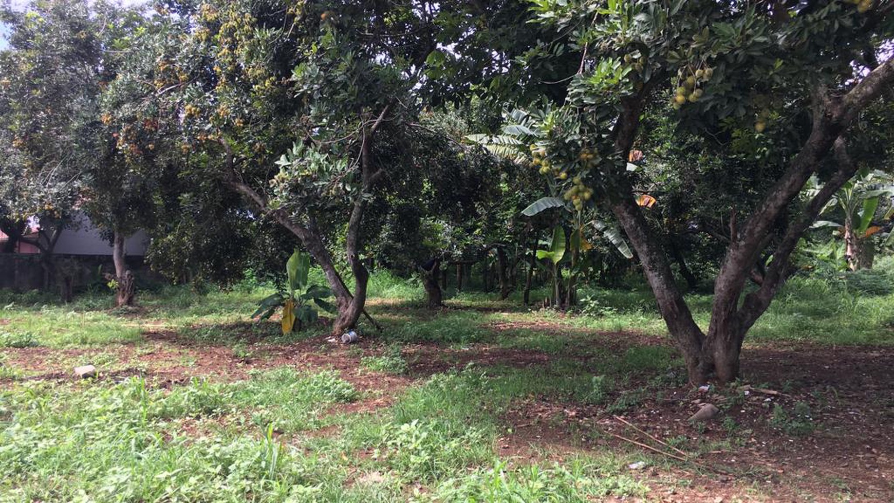 Tanah Pinggir Jalan Limo Meruyung Depok