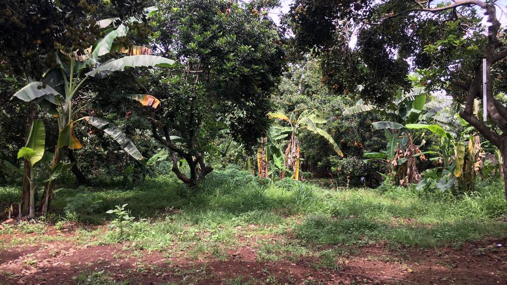 Tanah Pinggir Jalan Limo Meruyung Depok