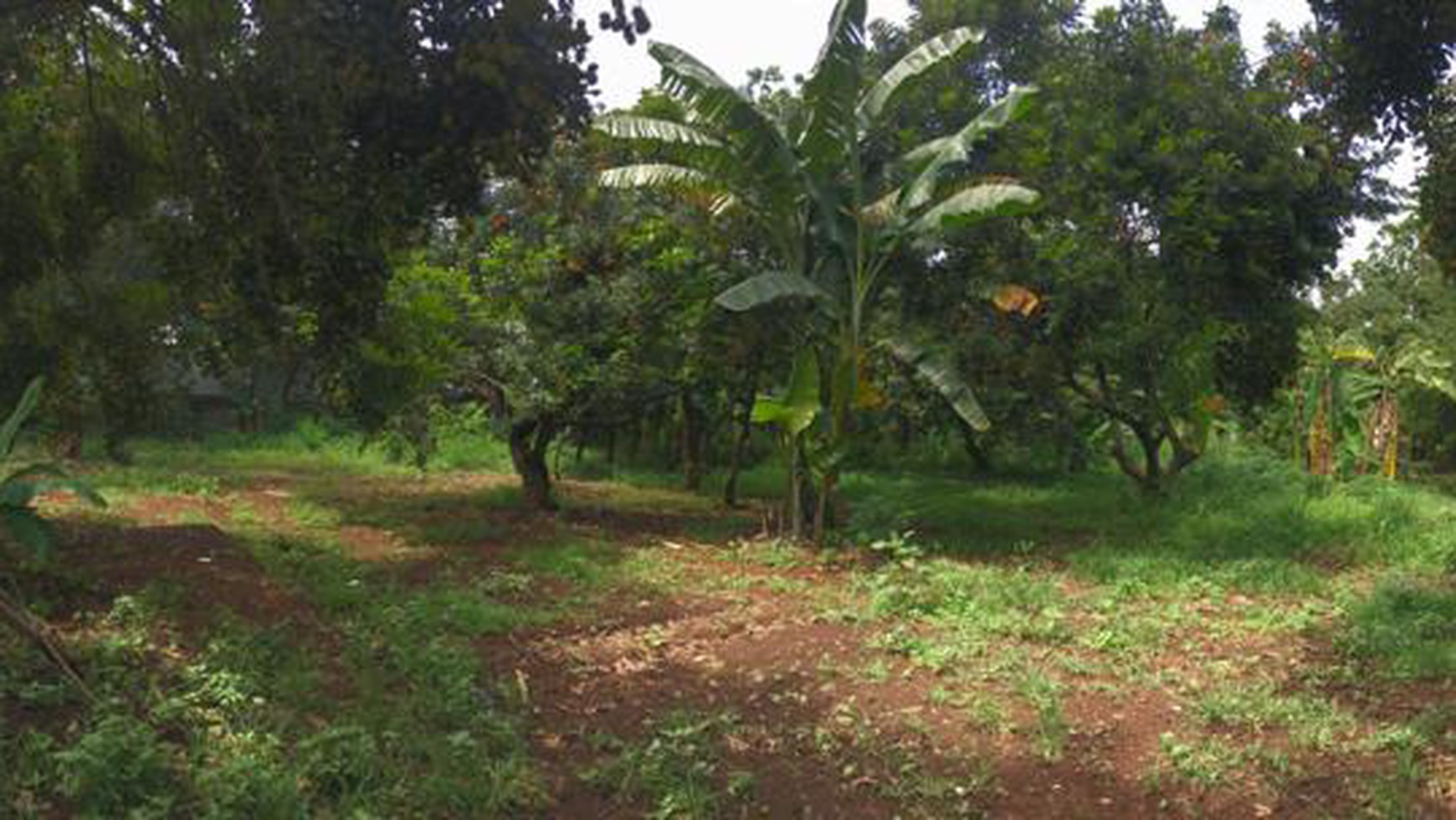 Tanah Pinggir Jalan Limo Meruyung Depok