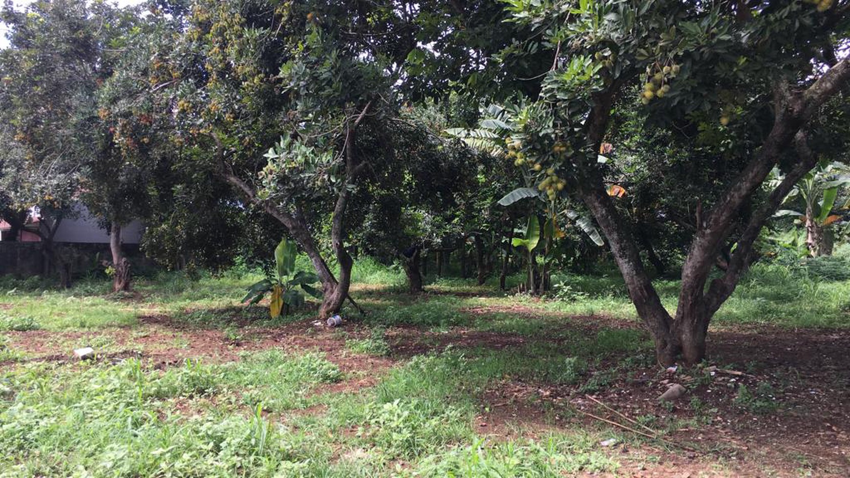 Tanah Pinggir Jalan Limo Meruyung Depok