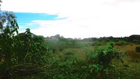 Kavling Jl. Jambe Tiga Raksa Disewakan