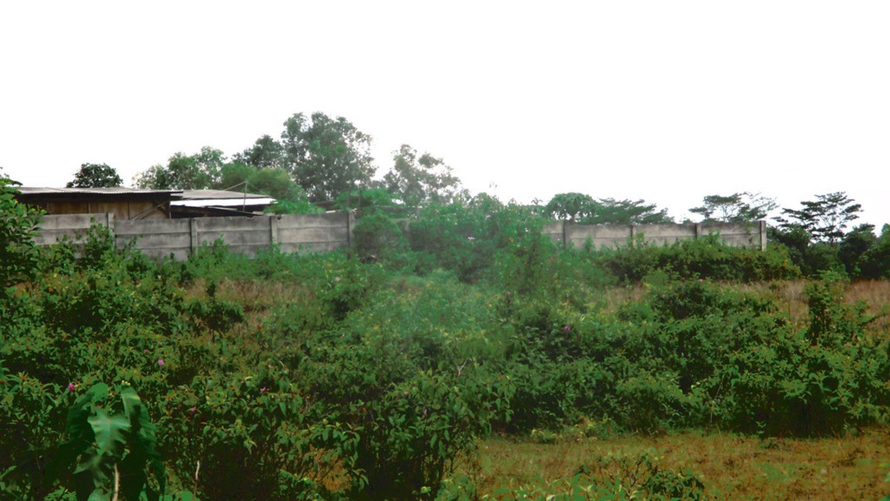 Kavling Jl. Jambe Tiga Raksa Disewakan