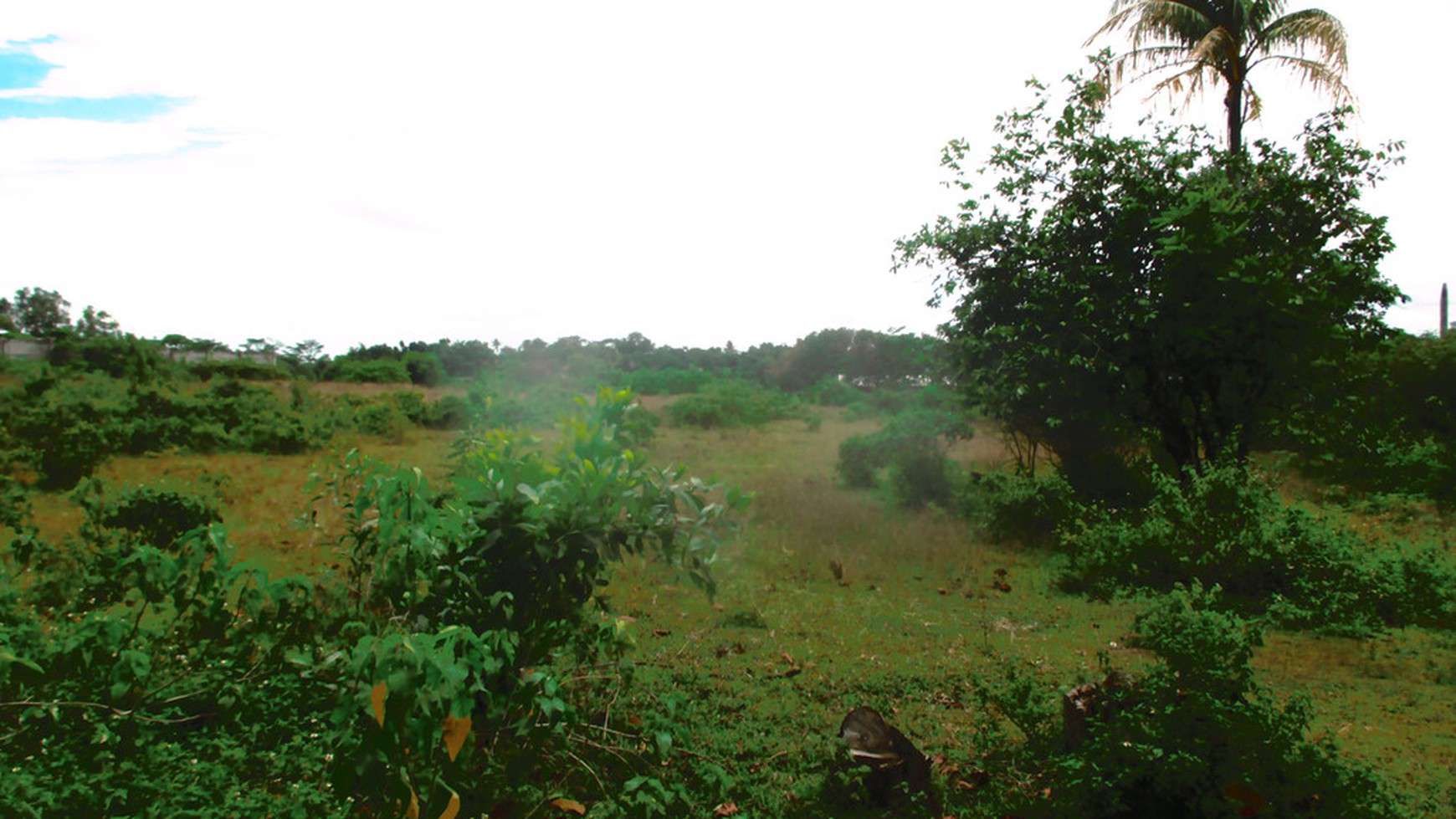 Kavling Jl. Jambe Tiga Raksa Disewakan