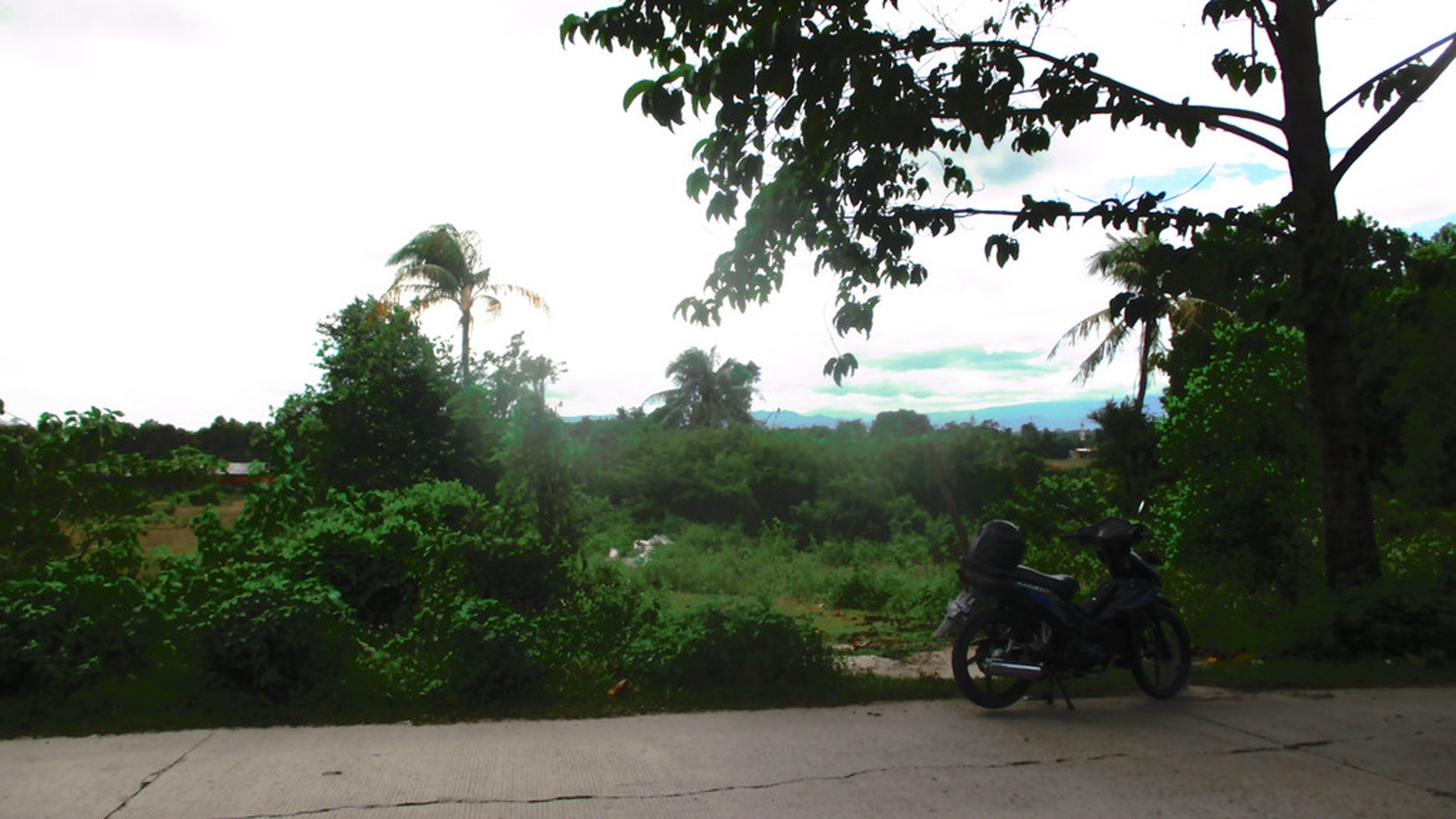 Kavling Jl. Jambe Tiga Raksa Disewakan