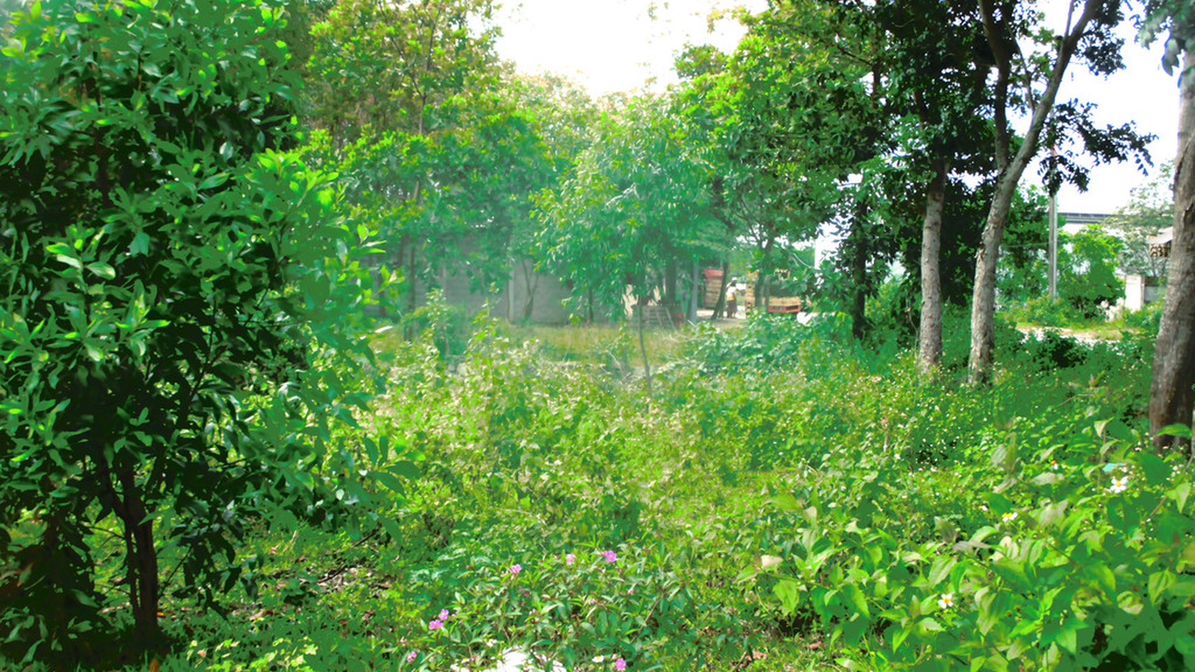 Kavling Jl. Jambe Tiga Raksa Disewakan