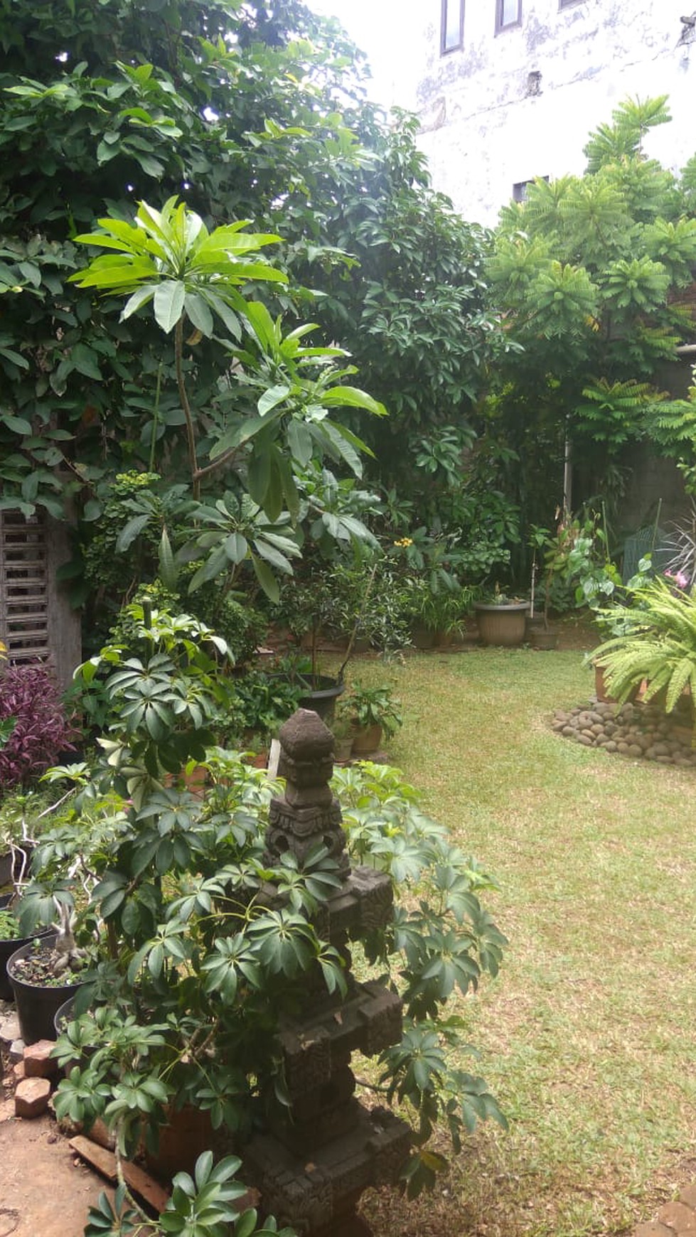 JUAL Rumah di Cipete Jalan Damai Lokasi Sangat Strategis