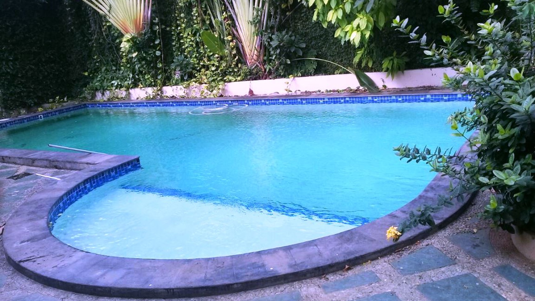 Rumah Bagus Di Pondok Indah Dijual