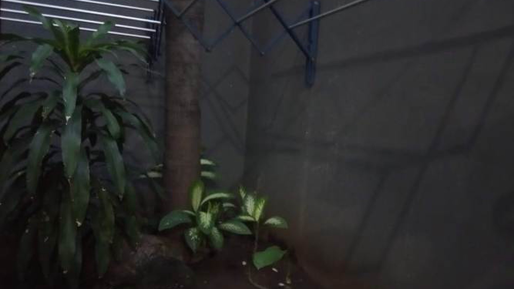 Rumah Perum Anggrek Mas, Sidoarjo