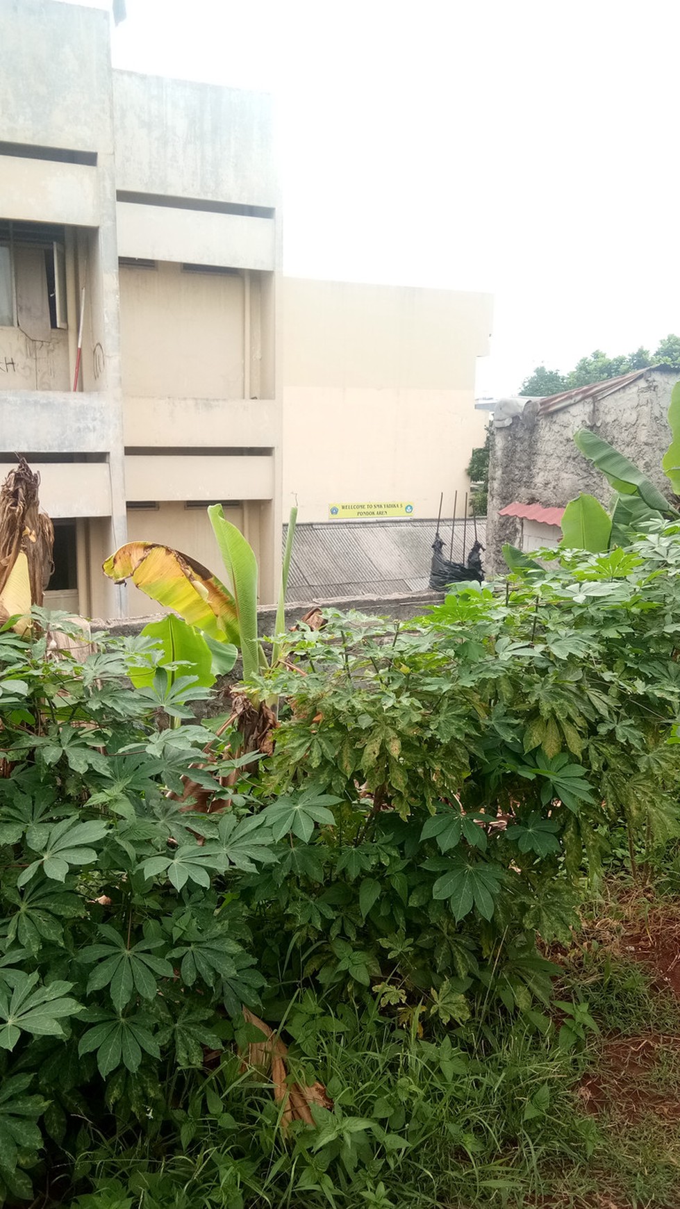 TANAH KAVLING SIAP BANGUN CLUSTER MEWAH DAERAH PERUMAHAN ELIT CIKINI BINTARO MURAH#IK
