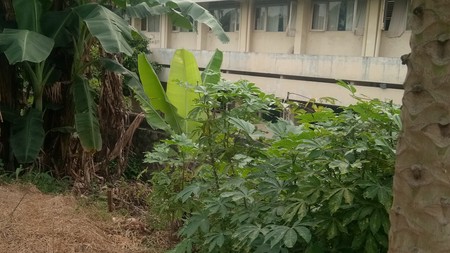 TANAH KOMERSIL TERDAPAT RUMAH KONTRAKAN DAN LAPANGAN FUTSAL MURAH PINGGIR JALAN RAYA#IK