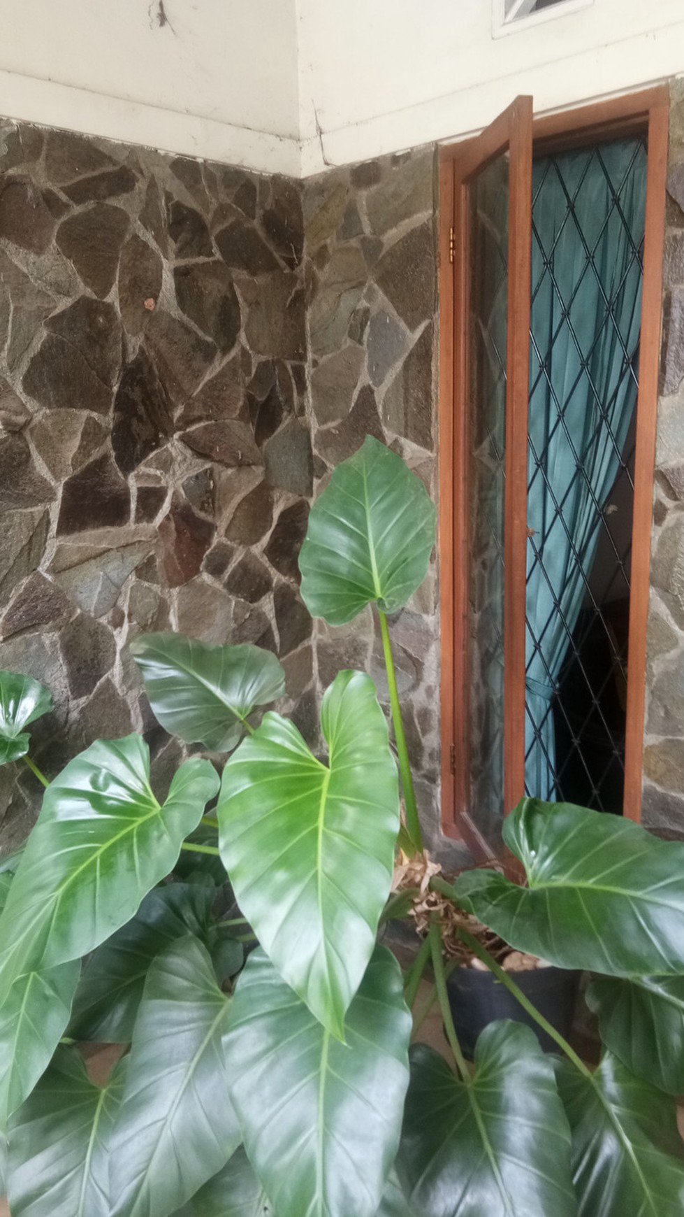 RUMAH NYAMAN TINGGAL MODEL LAMA PONDOK RANJI HANYA 1,8 M
