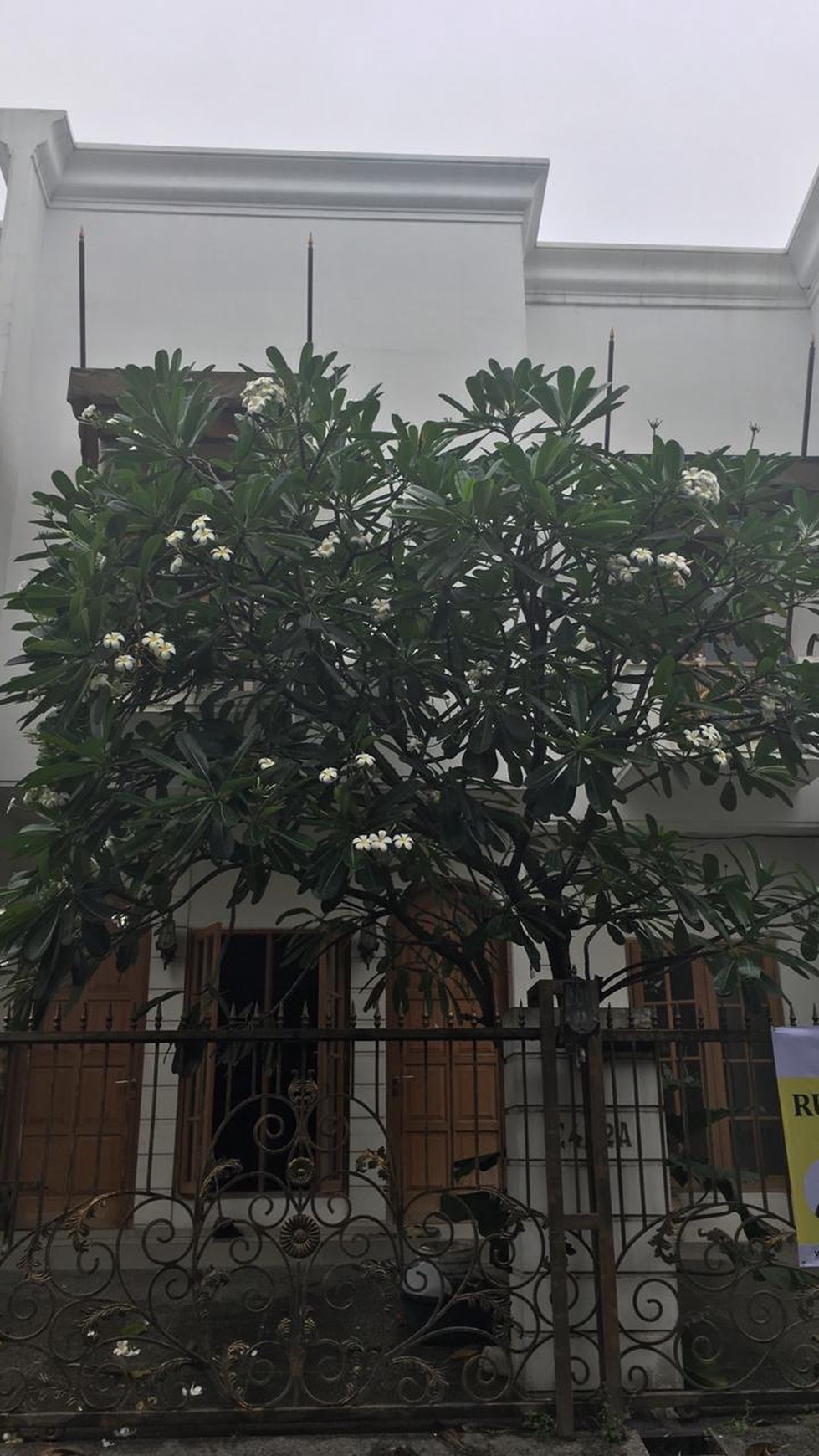 Rumah Cozy Di Bintaro