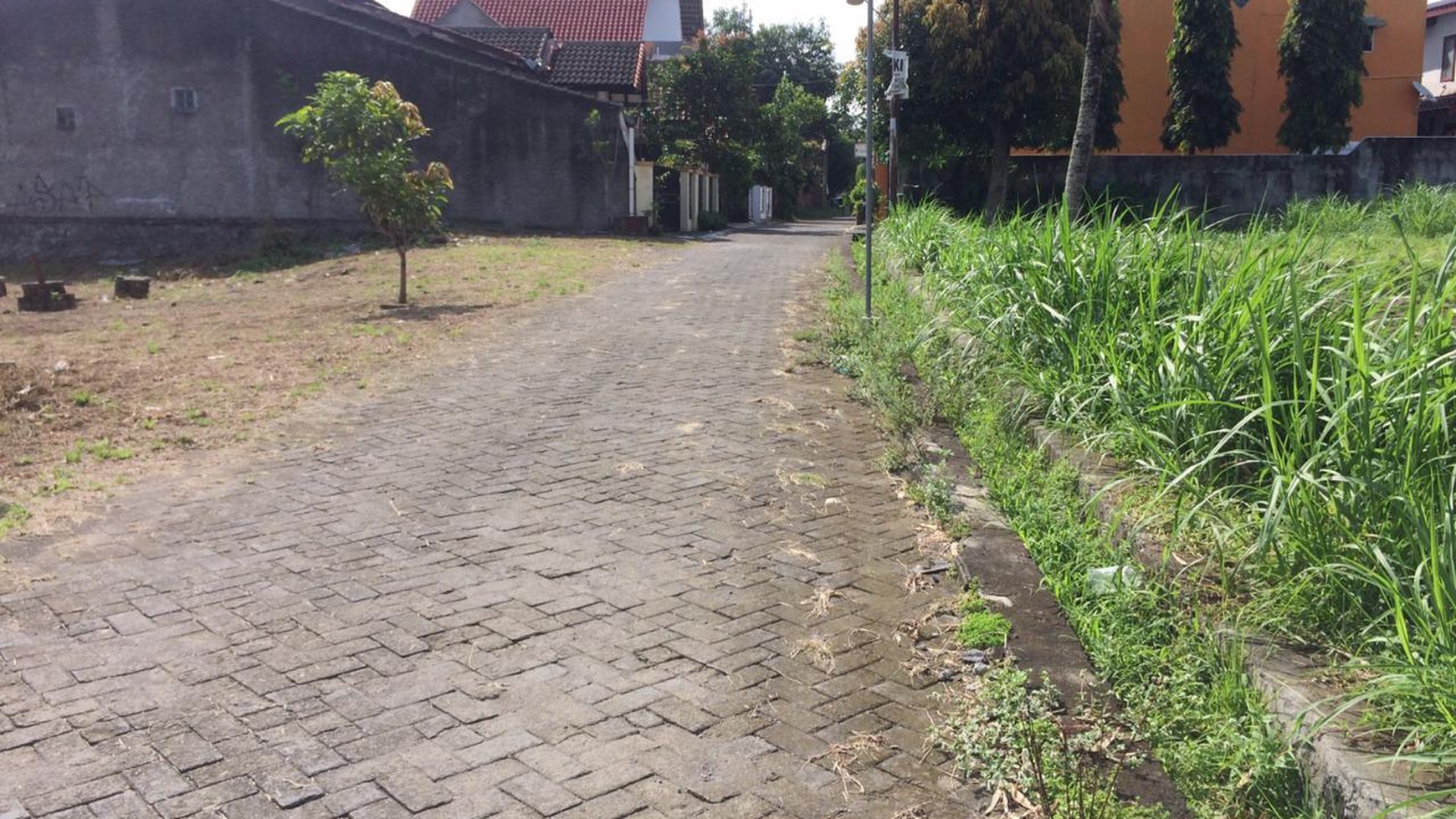 TANAH LUAS DILOKASI STRAETEGIS, TIDAK JAUH DARI RINGROAD UTARA, JL PASEKAN.