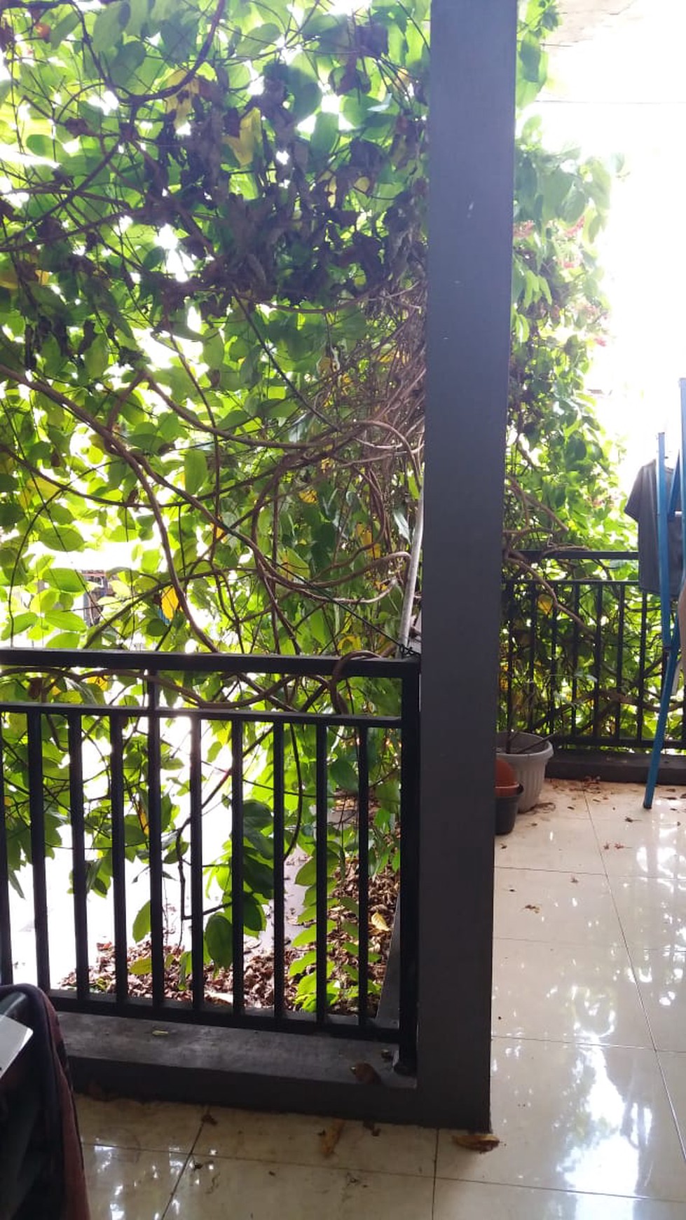 Rumah Nyaman dan Siap Huni di Kawasan Villa Bintaro Indah, Jombang