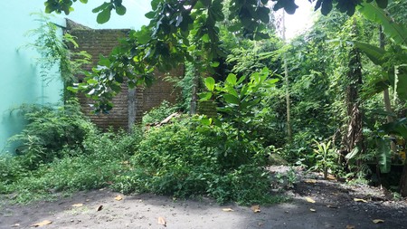 TANAH PEKARANGAN DIPOGUNG LOR, COCOK UNTUK KOST, RUMAH TINGGAL.