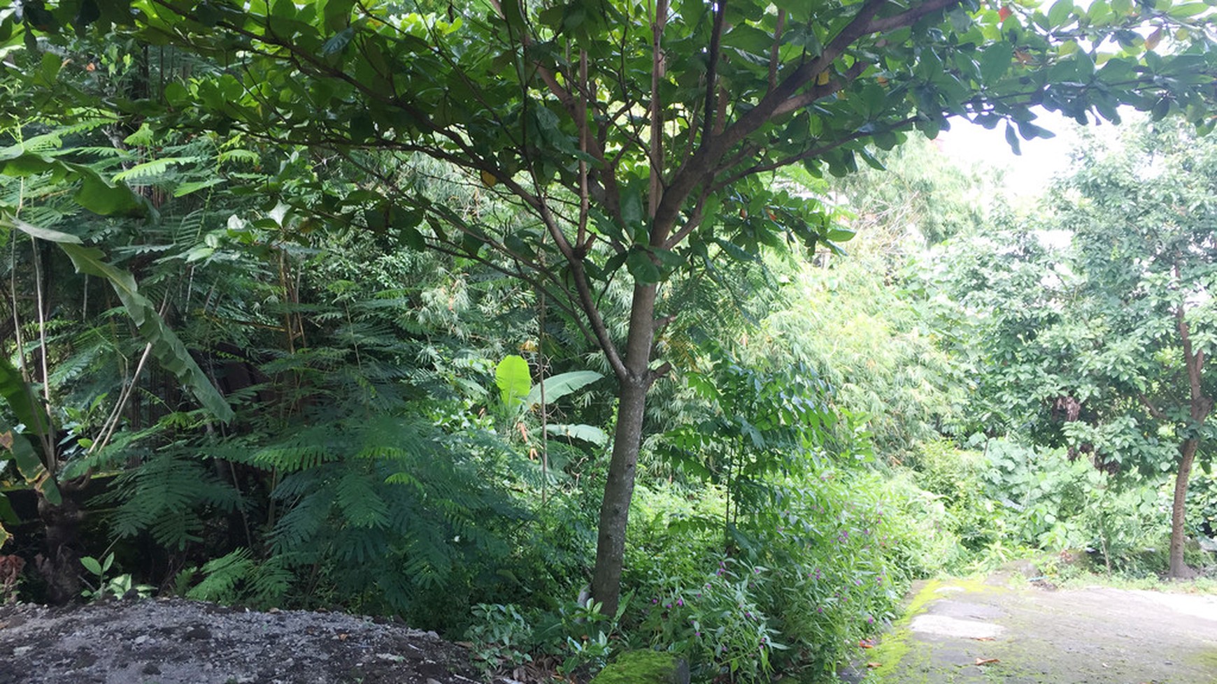 TANAH PEKARANGAN DIPOGUNG LOR, COCOK UNTUK KOST, RUMAH TINGGAL.