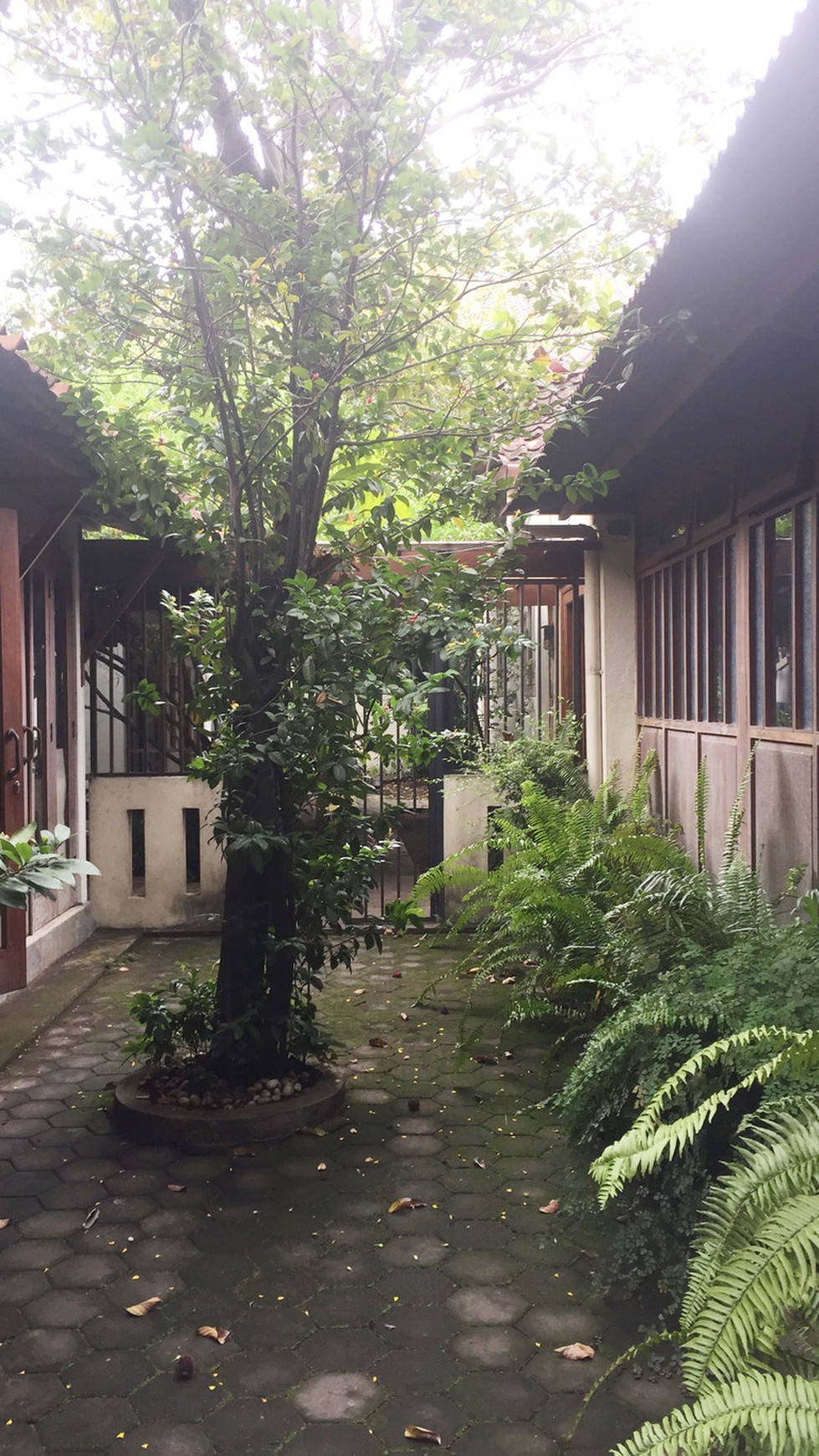 GALERY, COFFE SHOP, PENGINAPAN, DIKOTA JOGJA, JL TIRTODIPURAN, MANTRIJERON