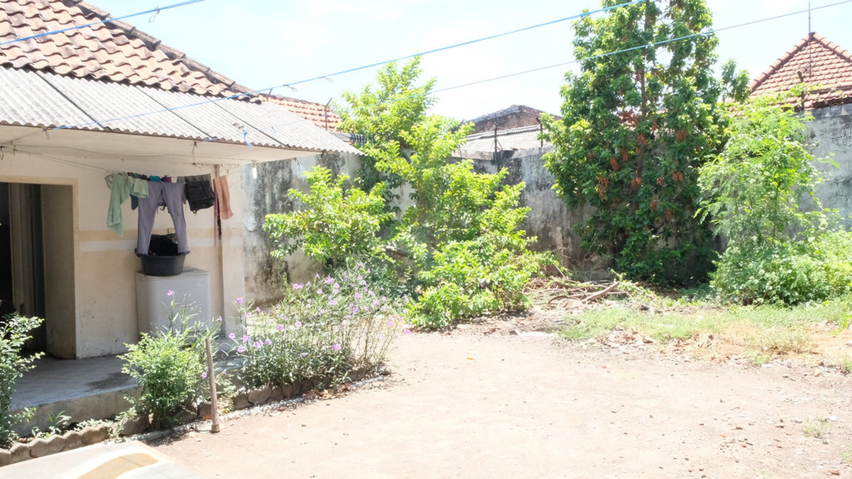 Rumah Ciamik Kedung Doro