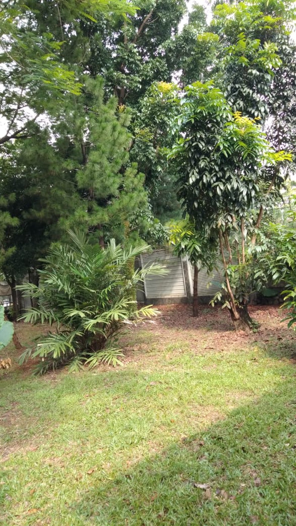 Rumah Nyaman dan Siap Huni di Kebayoran, Bintaro Jaya